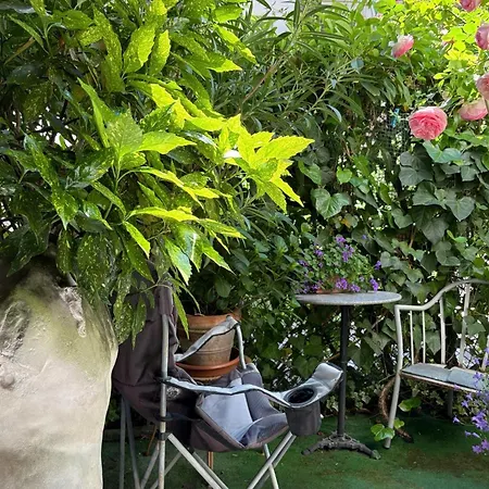 Avec Jardin Secret Calme Absolu Au Coeur Du 5e * Parijs
